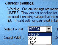 screen