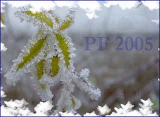 pf 2005